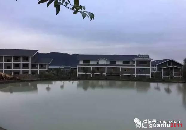 福建陶艺大师危敏捷与九龙窑的传承故事