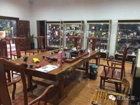 春天来的灵感,于是谢松青他的盏取名为“春盏”