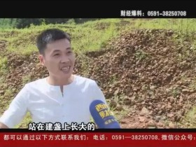 为建盏而生--大宋建窑周建平