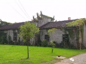 物理与陶瓷专业出身年轻人碰撞的产物『把盏堂』的故事