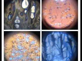 吴文东作品集--有一种盏属于斑斓的结晶世界