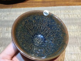 陈珂 菊花玉兰杯:9.2*4.8