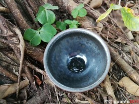 叶爱花“蝉”:口径9*5.5