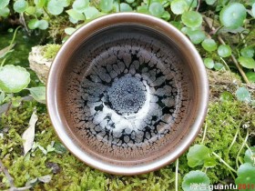 谢松青“油滴”:口径9.2*5.5