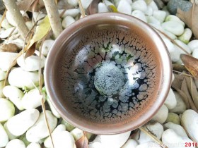 谢松青 鹧鸪斑:口径9.2*5.5