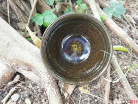 廖珍琴“云海”:口径8*5