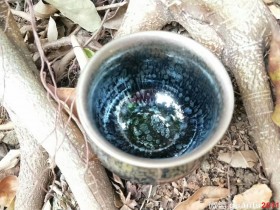 朱芳丽老师 将军杯:口径6.5*6