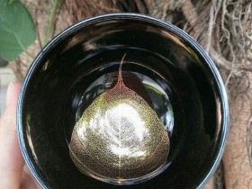 廖珍琴“镜观”:口径8.5*5.3