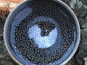 黄上兴老师 新品上市(春雨)口经8.5高5