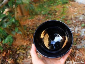 作者:廖珍琴 老师 品 名:金叶镜观系列绝世无双钵 规格:13×7.5cm