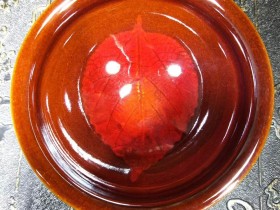 茶生 丁家相老师 酱釉木叶