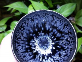 郑德平老师 黑底银斑 雨露