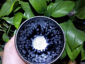 郑德平老师 雨露 黑底银斑