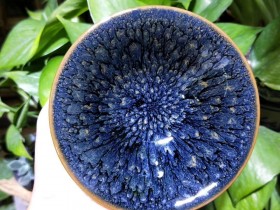 陈珂老师 鹧鸪斑 斗笠