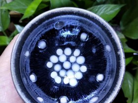 非遗传承人 李细妹老师 银毫珍珠斑茶盏