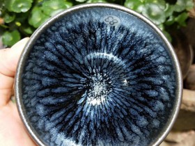 蔡龙老师 百花敛口