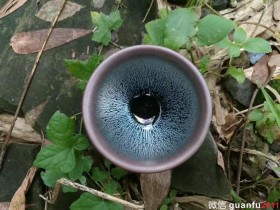 玉毫条达—— 廖友泉师傅银毫