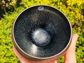 黎跃龙老师 银雪 口径8.8高5.4