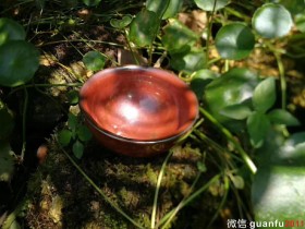 孙莉柿红 口径:9.0  高:5.0