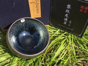 黎跃龙老师 银雪 口径9高6