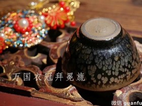 杨敏老师 鹧鸪斑