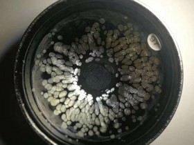 巫贵豪 乌金银油滴 口径:8.6 高:5.2