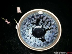 张俊翔  雀艳 口径:9.0  高:5.5