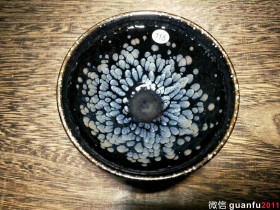 巫贵豪黑牡丹 口9高5