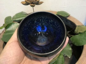 滕小贵老师 七彩孔雀开屏玉兰杯 钵型