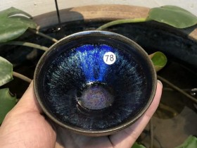滕小贵老师 七彩孔雀开屏玉兰杯