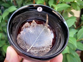 《今生》周世义制