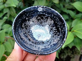 黑底银斑泰斗~卓立旗老师作品