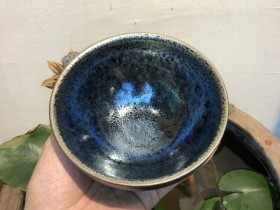 满天星 刘学财老师