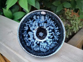 阙梅娇~黑牡丹 口径8.3高5.6