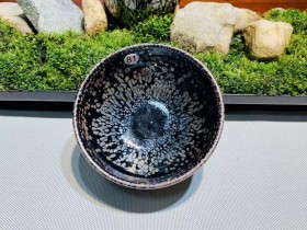 卓立旗老师 鹧鸪斑