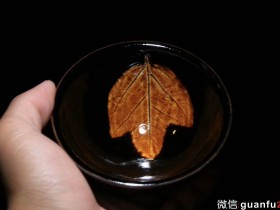 吕竹兴 黄金木叶