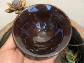 珍珠斑 稀有作品  陈大鹏老师   经典款 10.5