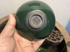 经典款 10.5 鹧鸪斑  陈大鹏老师作品