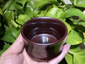 陈大鹏老师  红色 鹧鸪斑(限量版 全名)  竹结型